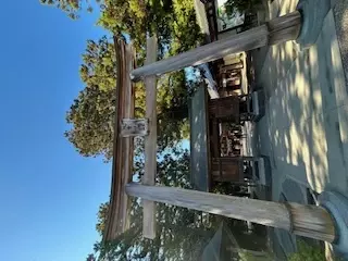 Salon de lumiere「八重垣神社　」- 2