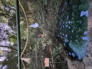 Salon de lumiere「八重垣神社　」- 3