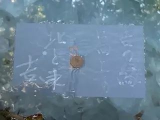 Salon de lumiere「八重垣神社　」- 4