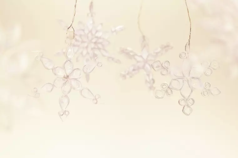 お見合いで大切にしたい心得──後編──