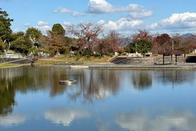 お孫さんの婚活