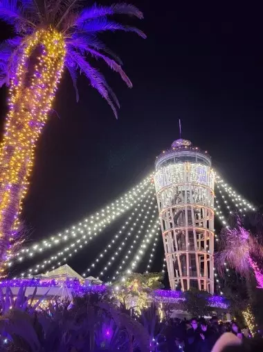 マリアージュ幸「30歳までに結婚したいを叶える女性・男性のための行動計画」- 2