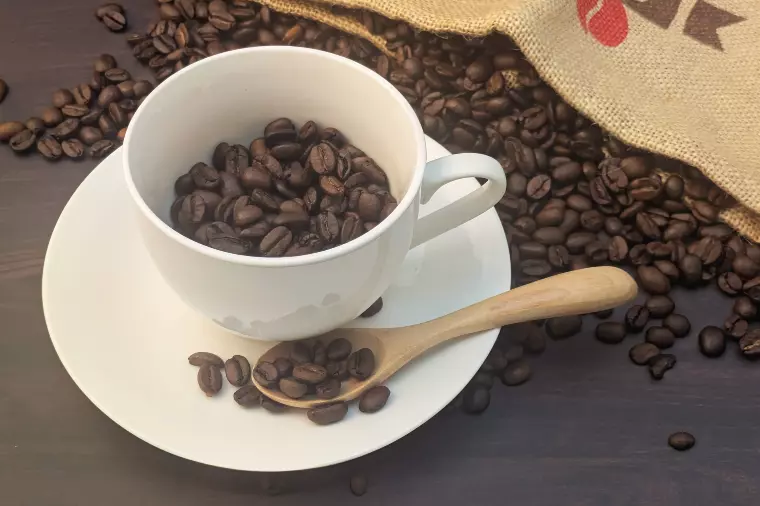 頑張るときの心の整え方