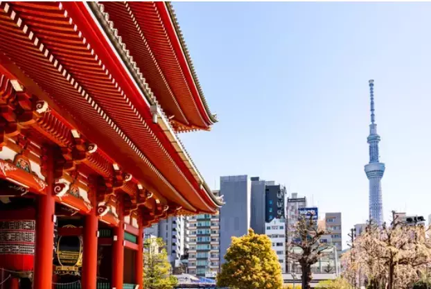 マリヴィット「【30代女性】短期集中婚活を決意してご入会」- 2