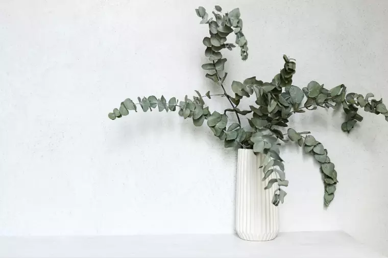 アプリの限界。その先にある“人が支える婚活”