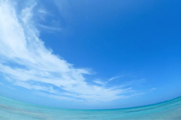 趣味は共有したほうが良い？しなくても良い？