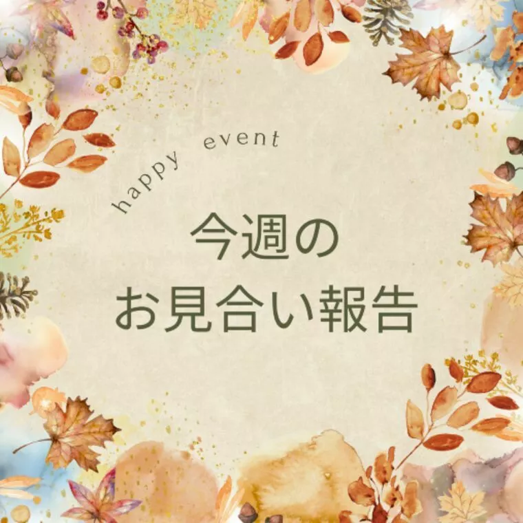 11月週目お見合い報告✨プレ交際で確認すべきこととは？！