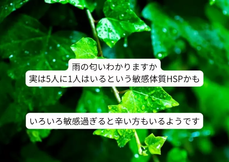 HSPって聞いた事はあったけどよくわからないって人多い？