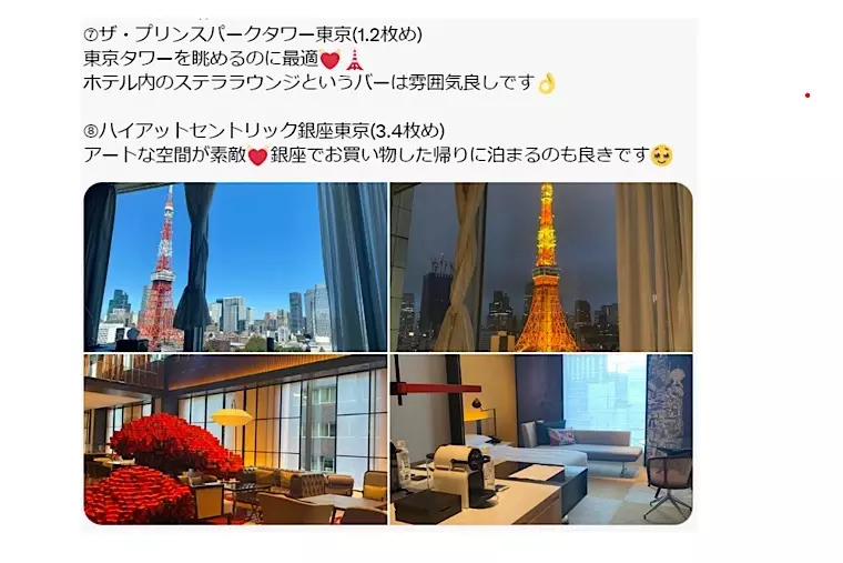 EliYume結婚相談所「ハイスペ彼氏のお誕生日デートプラン問題について」- 5