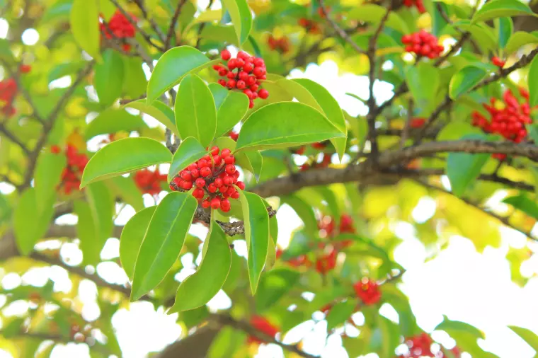 結婚にとって最終的に必要なもの