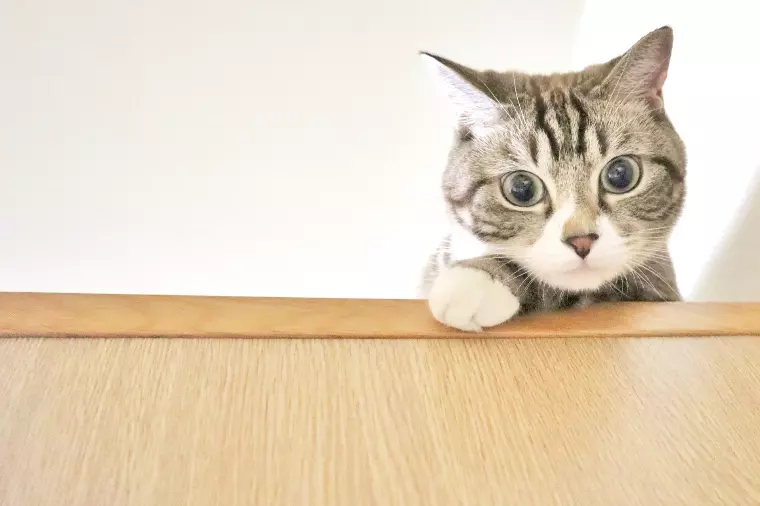 男性から見た“魅力的な女性”とは