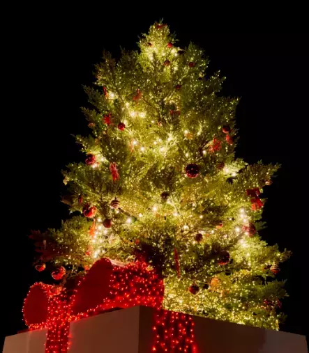 サンマリエ長野（結婚サポートyamato）「【結婚相談所の婚活】冬のイベントシーズンで絆を深めるコツ」- 2