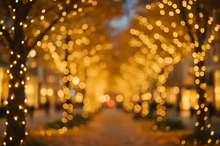 実は“普通の人”ほど、結婚相談所に向いています