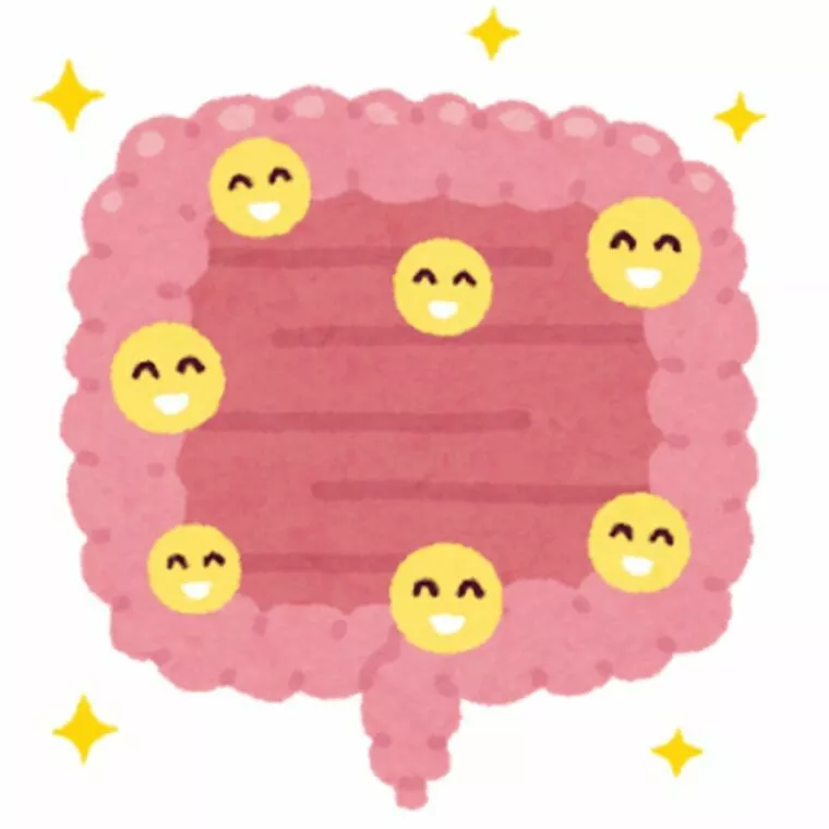 シニアの悩みは男女ともお肌？腸活がいいかも！
