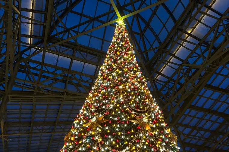 クリスマス前に相談所を探すべき3つの理由