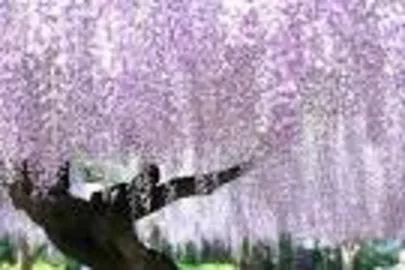結婚相談所福岡　ベストパートナー「恋愛の苦手な心優しいあなたへ贈るメッセージ④」-2