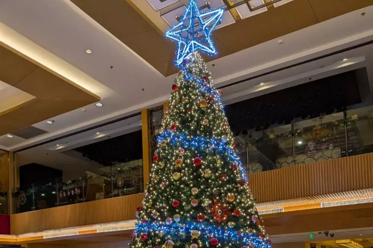 新規会員様のご紹介。