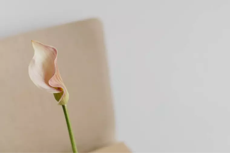 30代の婚活のリアル「マリプロ」