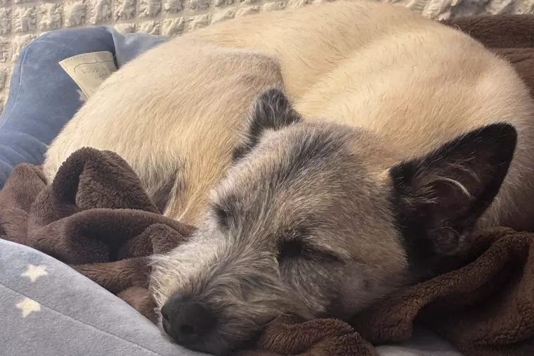 ✨ 婚活中に不安になるのは当たり前？よくある悩み3選