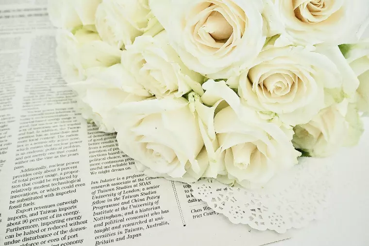 結婚相談所を成婚退会後は