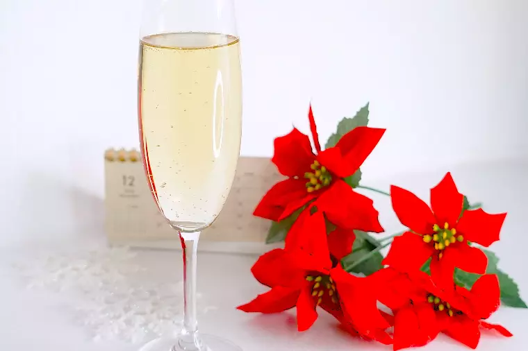 IBJクリスマス交流会