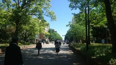 ブランセル「バラの季節の婚活カウンセリング」-2