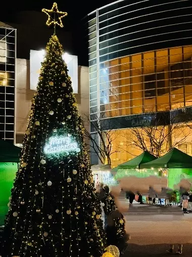 fil marriage ～フィルマリッジ～「🎄Merry Christmas 🎅」- 2