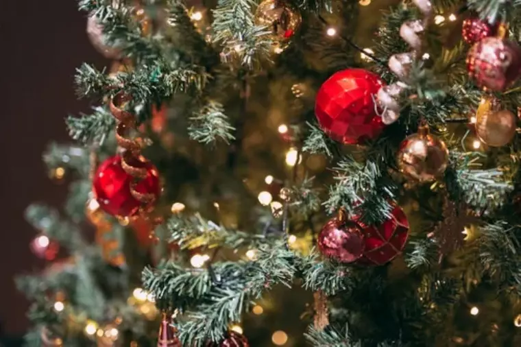 今日はクリスマスですね🎅