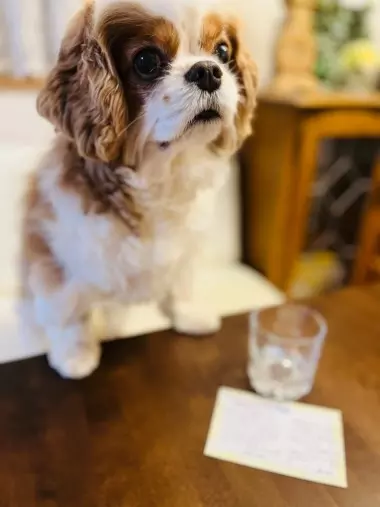 ララウエディング「石坂社長より感謝状が届きました✨」- 3