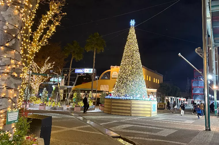 ４０代男性　お見合いの会話の悩み