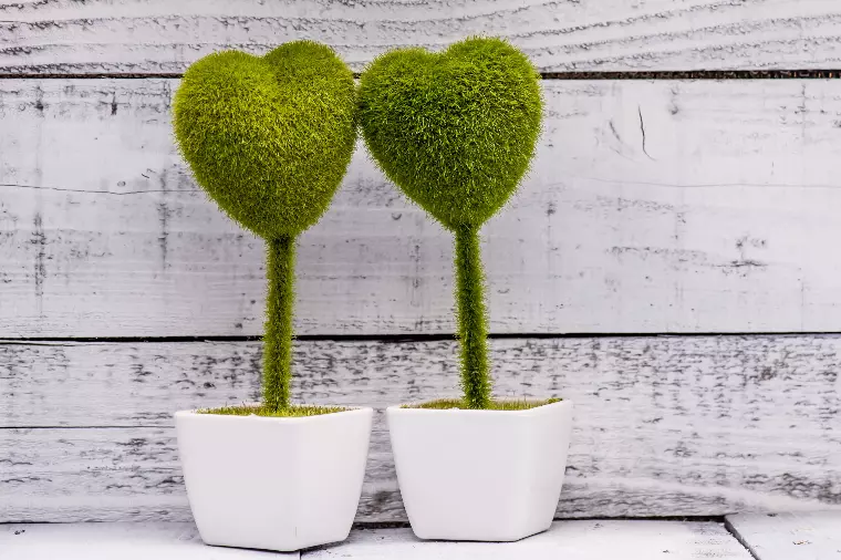 恋愛が長続きする人が自然にやっていること