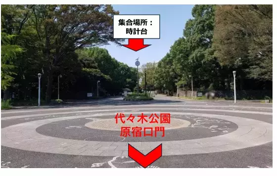 結婚相談所　Pure's　(ピュアーズ）「婚活イベント📢雰囲気抜群✨冬の代々木公園をお散歩しよう」- 2