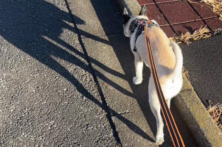 ✨ 年の瀬に思うこと。焦らなくていい婚活の話