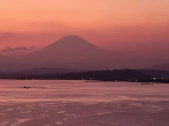 マリアージュ幸「仮交際中に連絡が途絶えたときの対処法」- 2