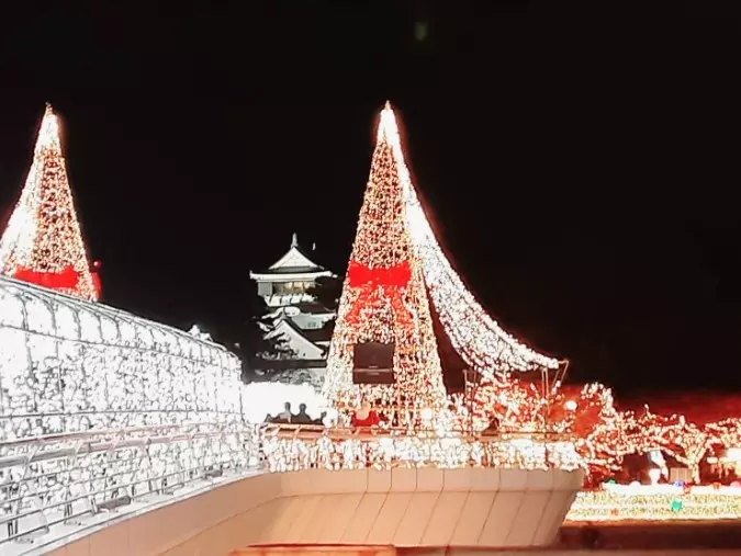 Couleur mariage「16日のスピード　プロポーズ　大成功！」- 2