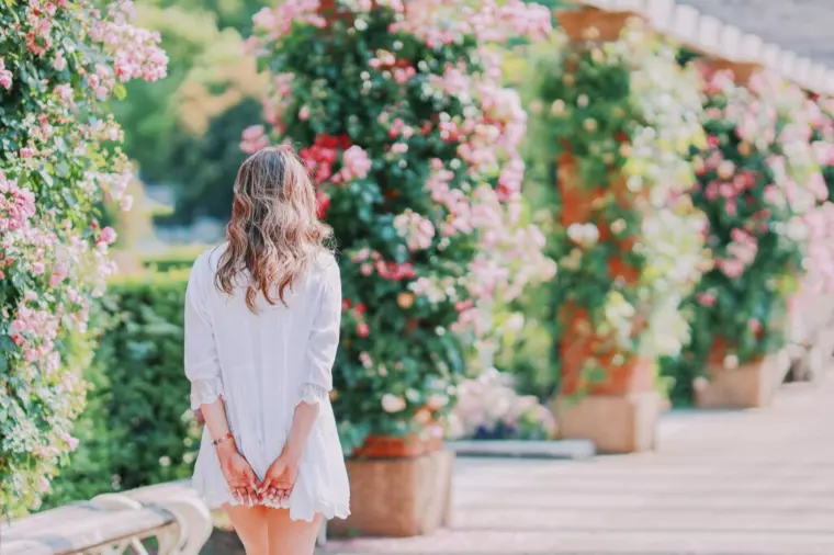 外見と中身の整え方