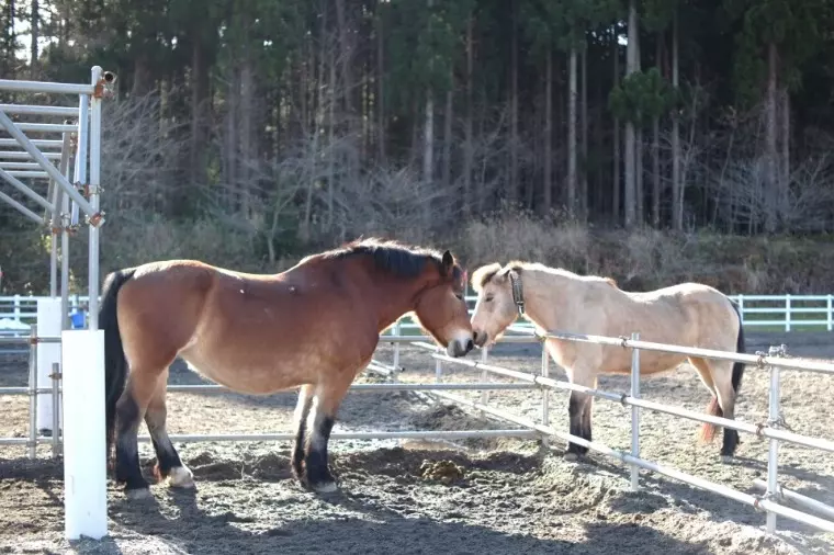 ブランシュール東海「2026年始のご挨拶と新サポートのご案内」- 2