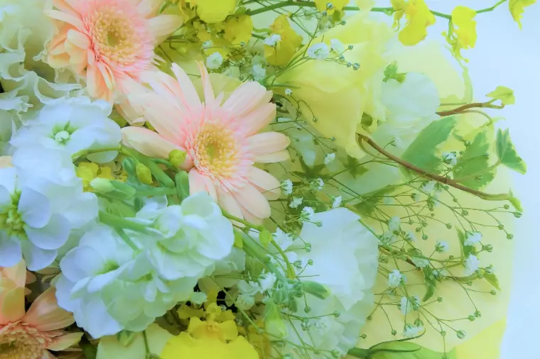 謹賀新年☆【2026年婚活】杉並区で始める新しい出会い！