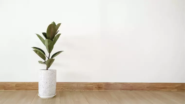 【新春特典あり】ジモティーからのお問い合わせを頂きました