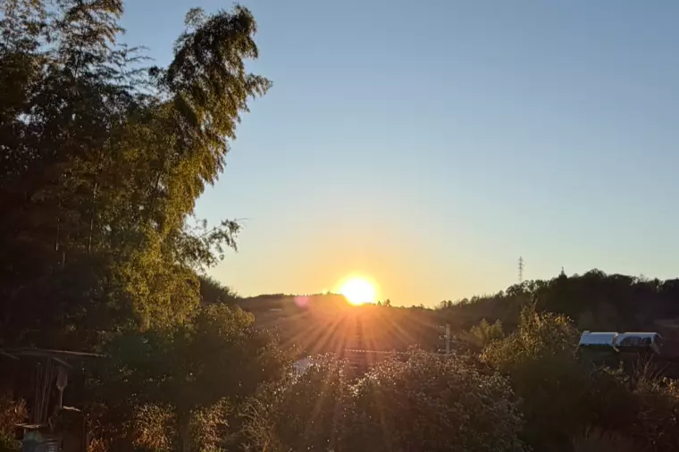 2026年婚活スタート宣言！