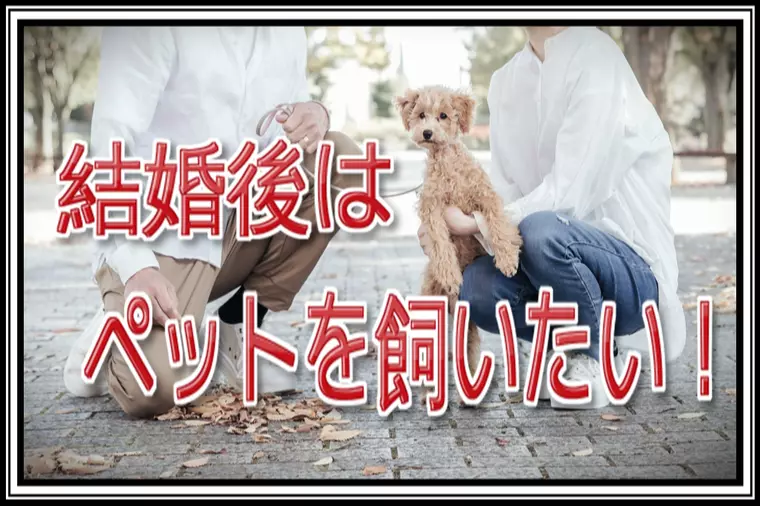 【婚活】将来はネコか犬を飼いたいです！…結婚できますか？