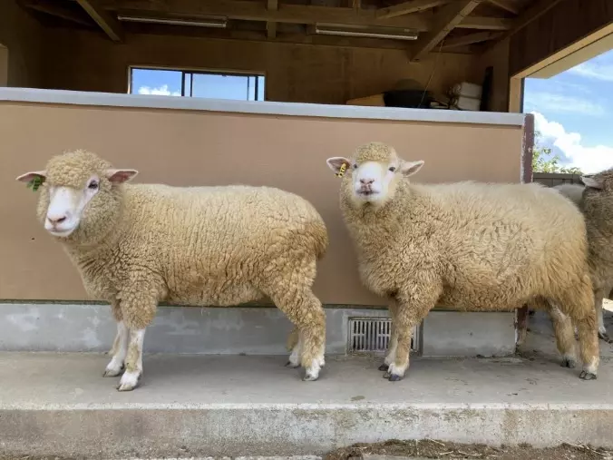 ブランシュール東海「結婚相談所における婚活疲れを癒すには・・・」- 2