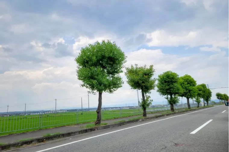 地方で結婚相手が見つからない本当の理由とは？