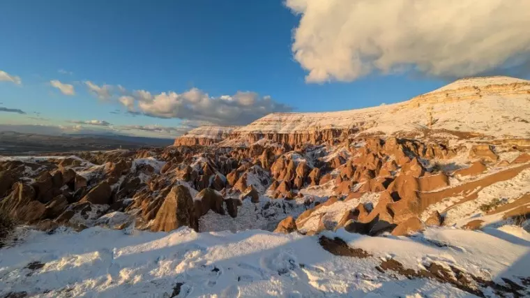 サピュイエ結婚相談所「新年のご挨拶～2026～」- 3