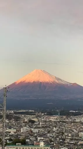 マリーミーマイン「　新年のご挨拶」- 2