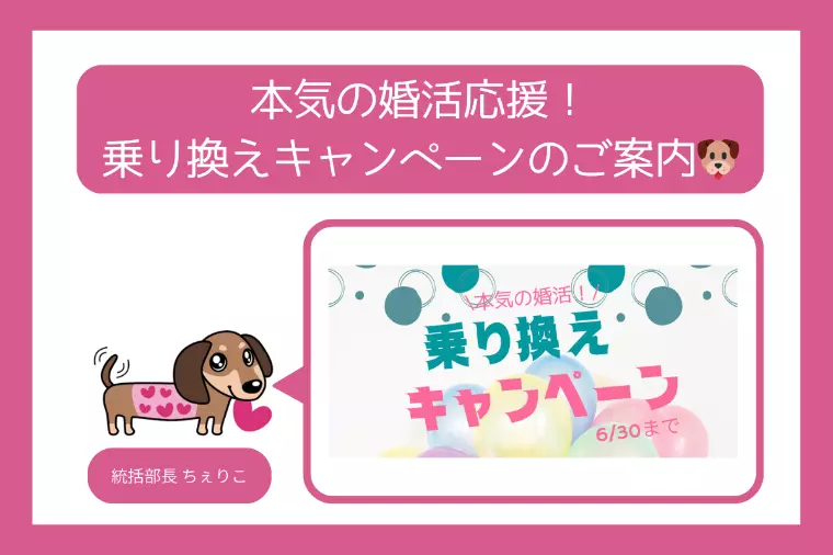 本気の婚活応援！乗り換えキャンペーンのご案内🐶
