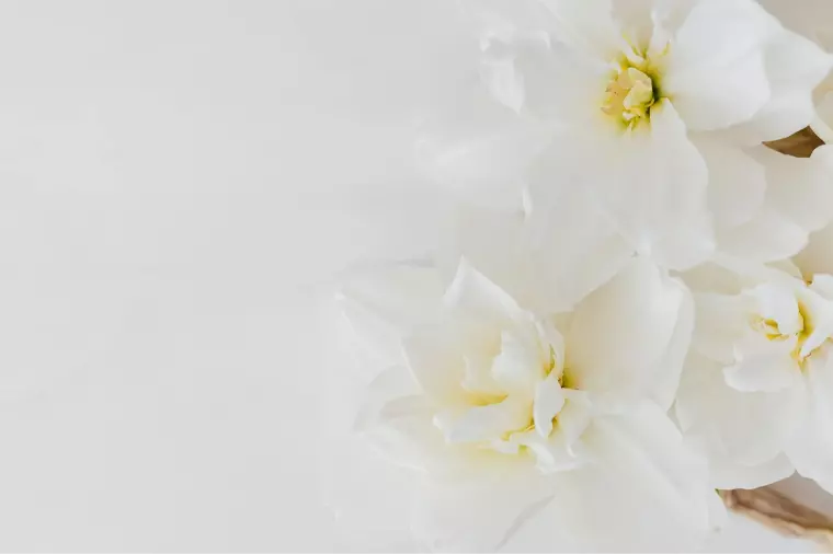 ゼクシィ終了後、婚活を迷うあなたへ