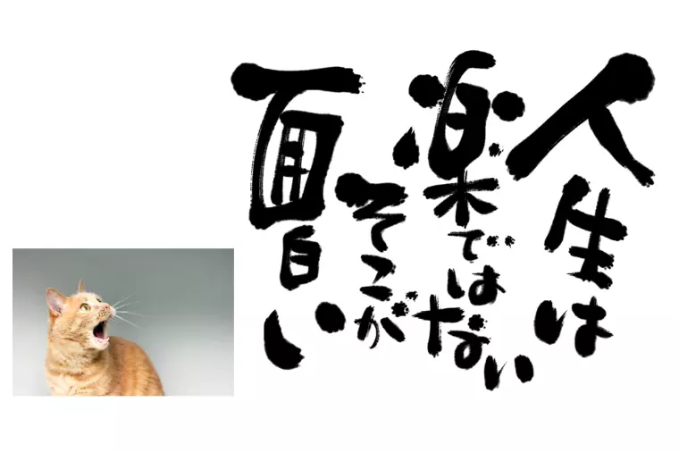 お見合い女性のお返事・・（笑）