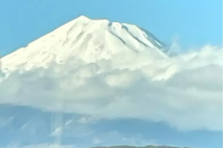 春は出会いの季節です(^0^)