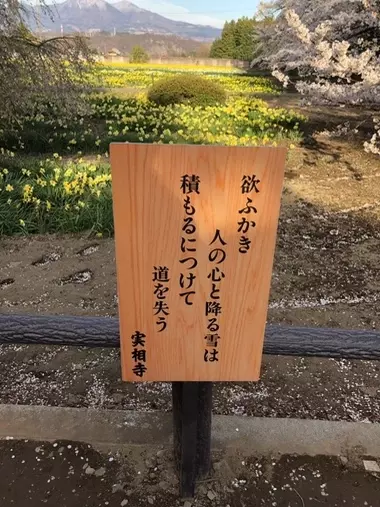 Marriage joy「その条件、本当に結婚に必要ですか？」- 2